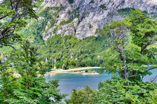 green trees near body of water during daytime in San Carlos de Bariloche Argentina