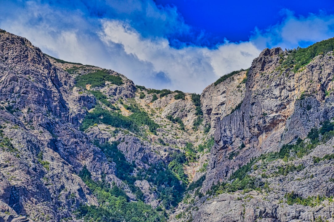 Nature reserve photo spot San Carlos de Bariloche Puerto Blest