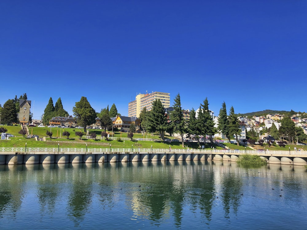 green trees near body of water under blue sky during daytime