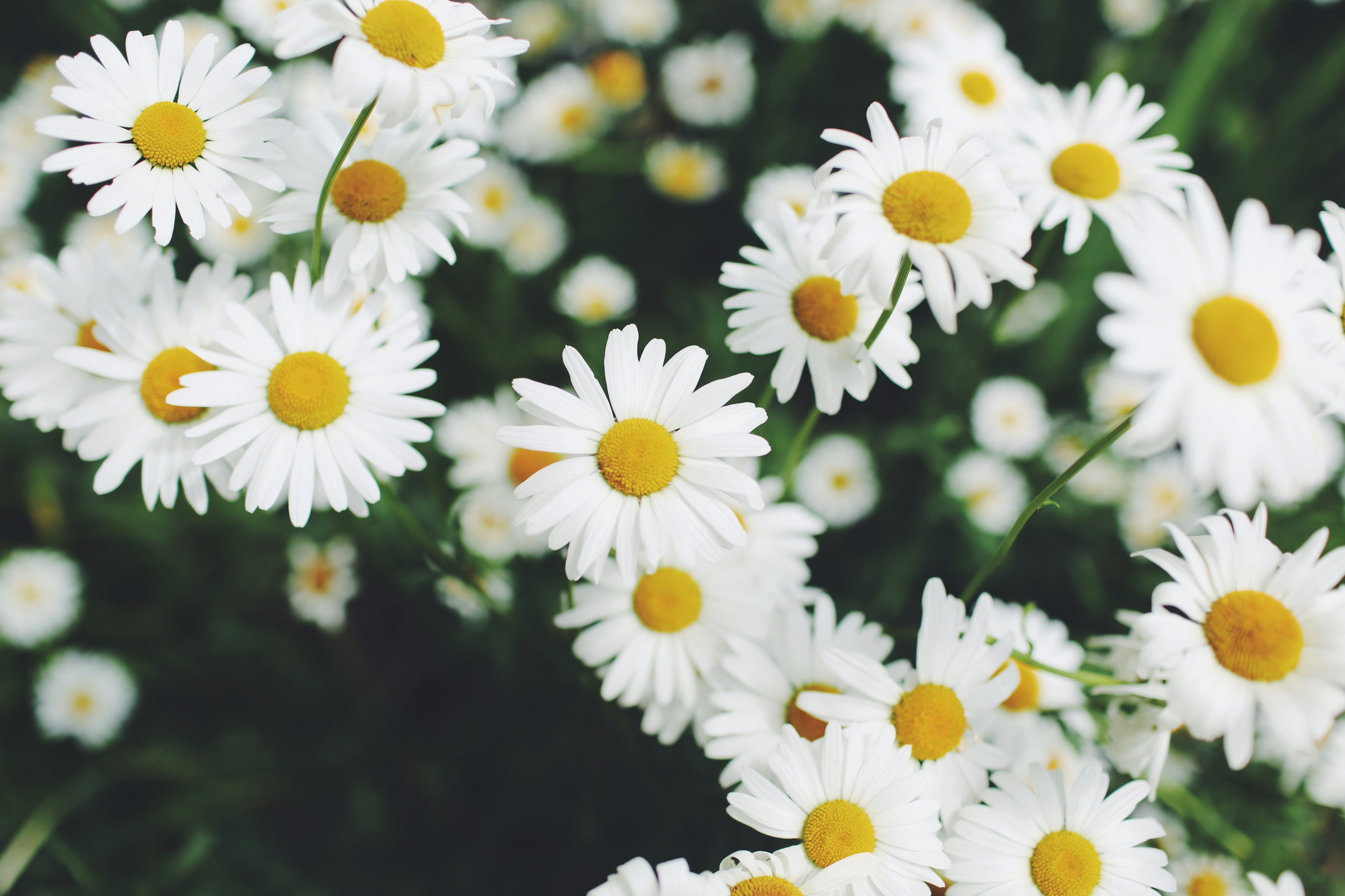 Photo by analeighevans