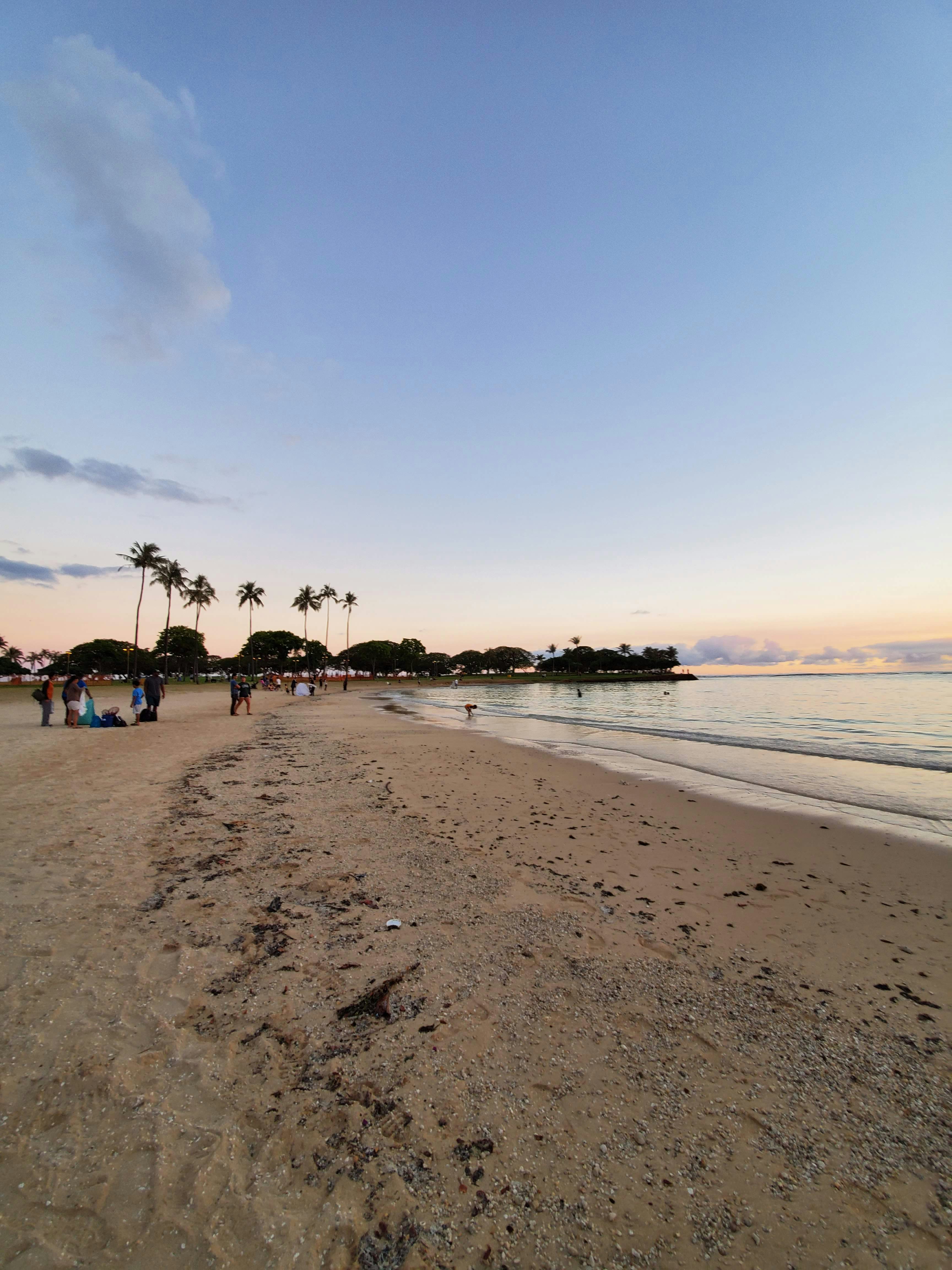 Photo by little_plant