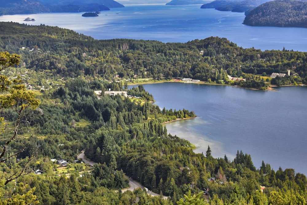 green trees on island during daytime