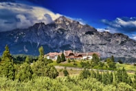 green trees near mountain under blue sky during daytime
