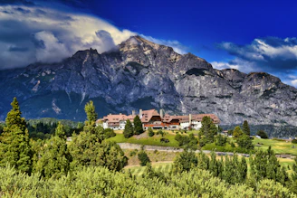 green trees near mountain under blue sky during daytime