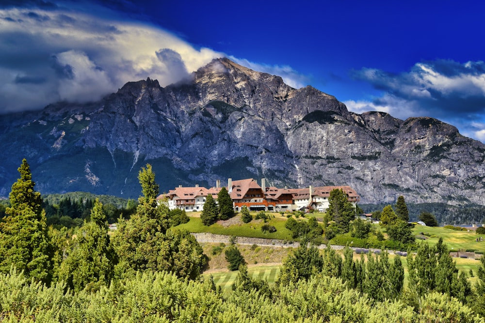 green trees near mountain under blue sky during daytime