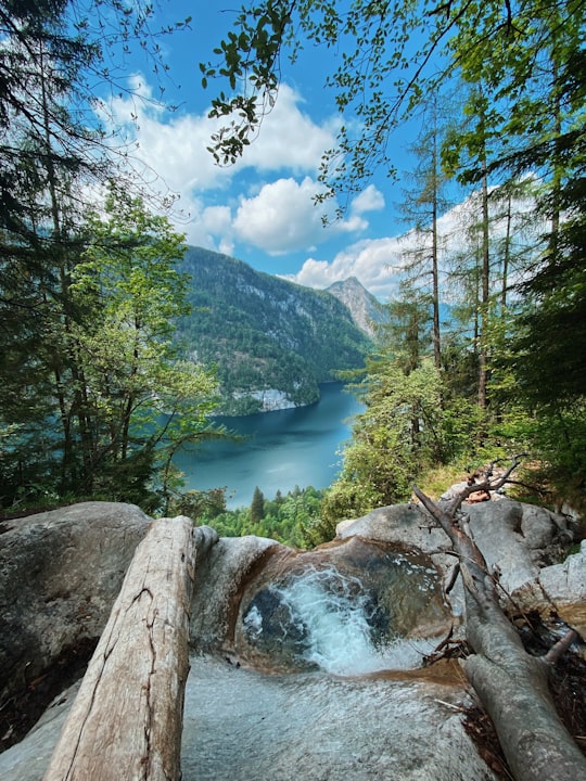 green trees near river under blue sky during daytime in Königssee Germany