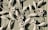 Decorative white metal or wrought iron artwork features intricate floral and leaf designs. The textured green wooden background contrasts with the light color of the metal, highlighting the delicate flower petals and swirling leaf patterns.