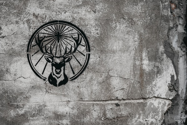 Elegant Wall Stencil