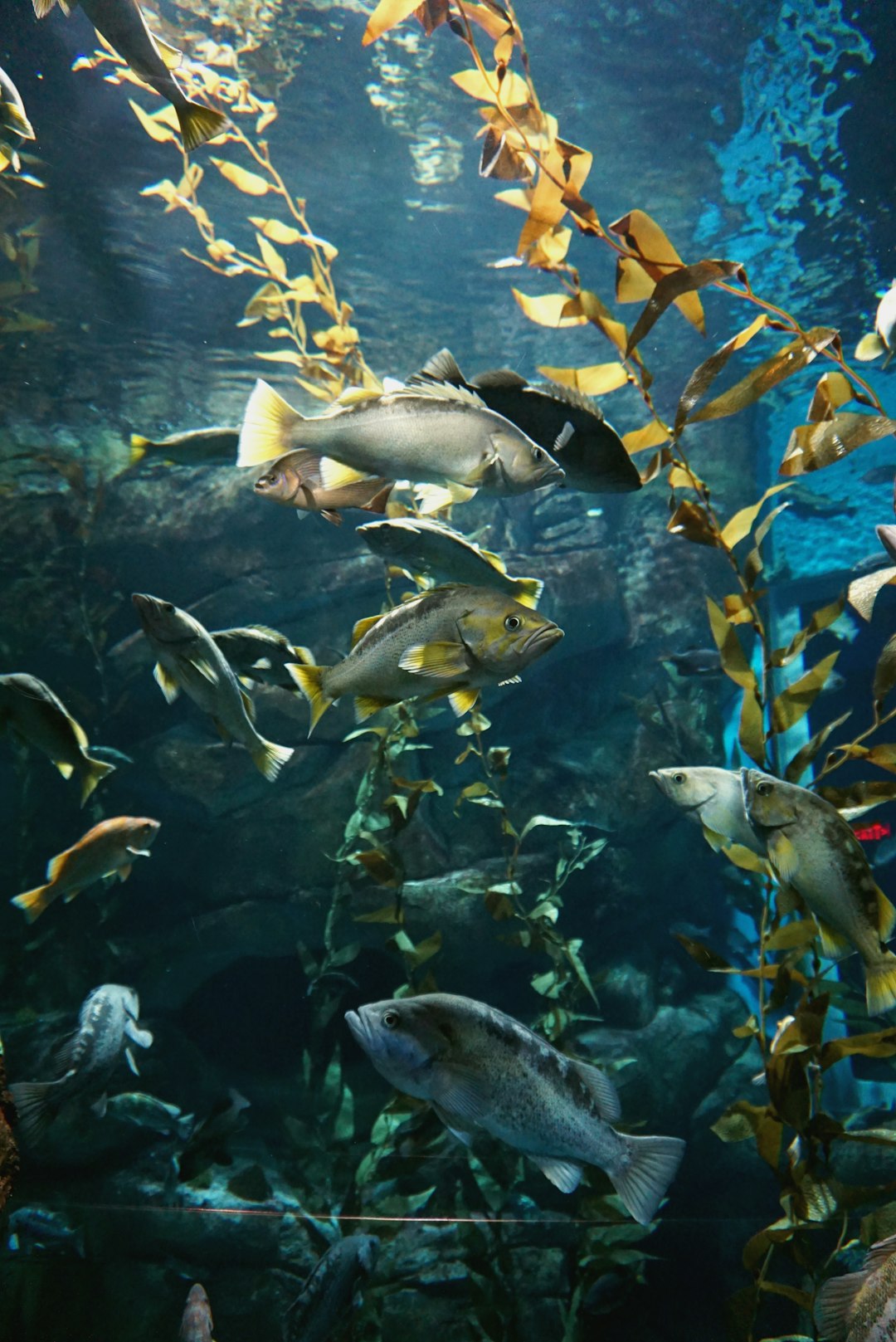 Underwater photo spot Toronto Canada