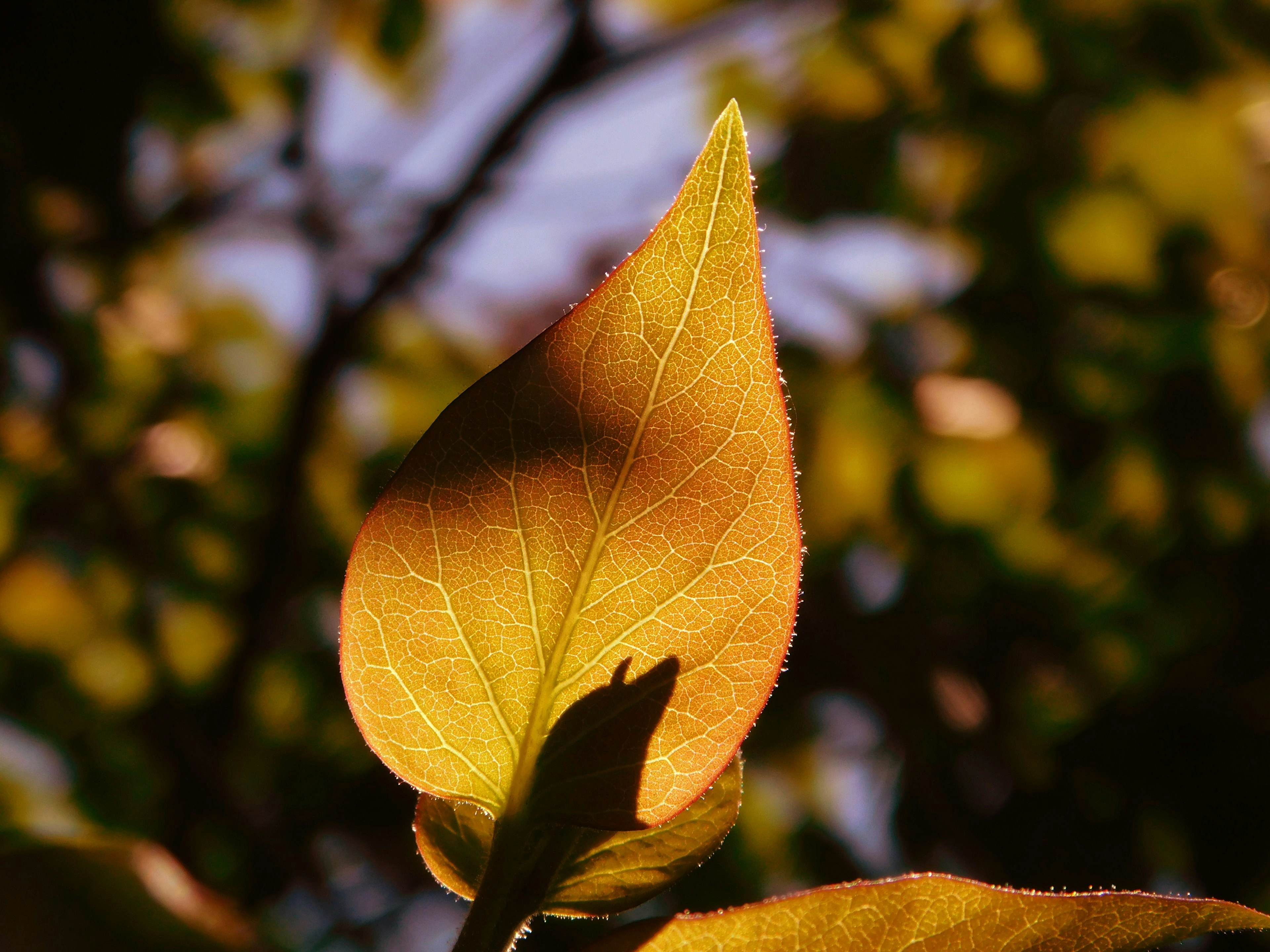 Photo by haylee_booth14