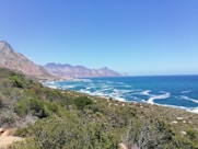 green grass near body of water during daytime