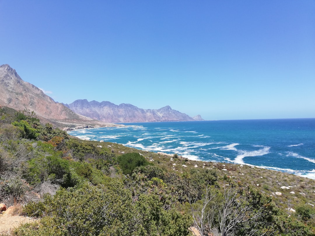 Travel Tips and Stories of Gansbaai in South Africa