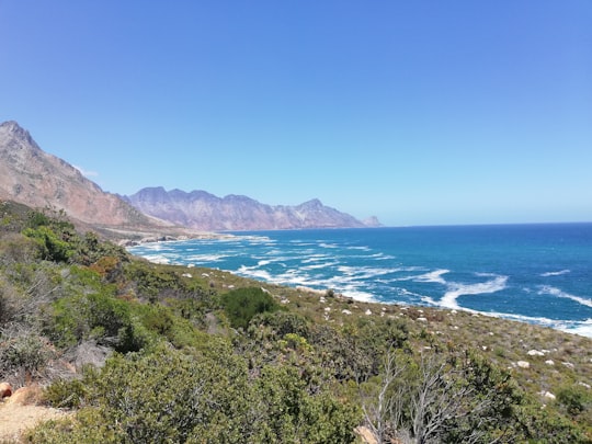 green grass near body of water during daytime in Gansbaai South Africa