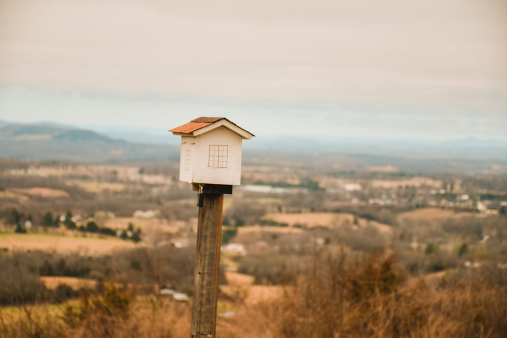 white and brown wooden birdhouse