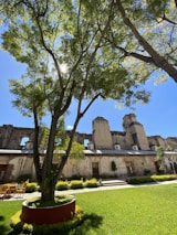 The club's lush garden area on Tagore Avenue, bathed in warm sunlight.