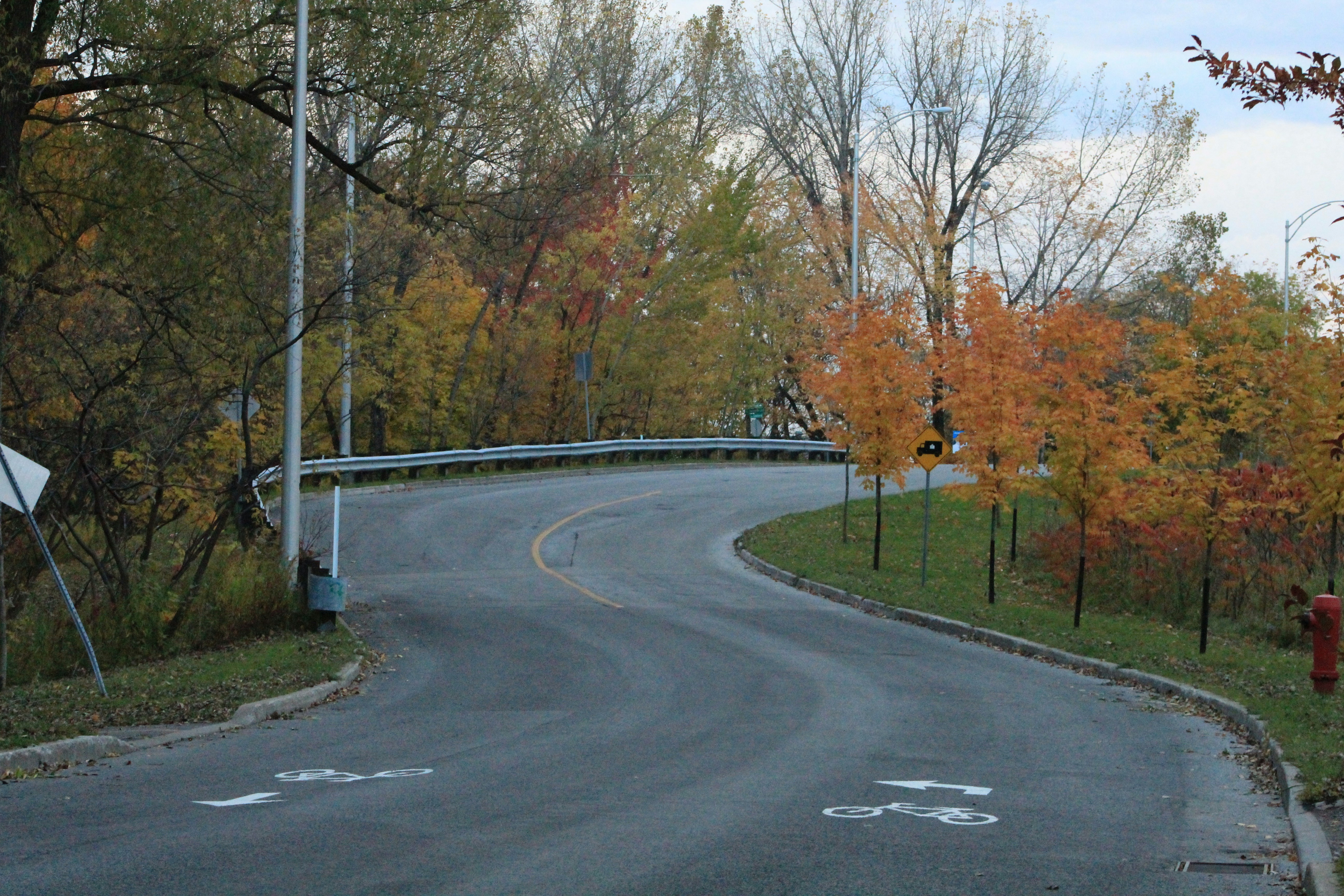 Photo by patriciovargasr23