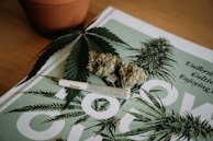 white and brown cigarette stick on white and black floral textile