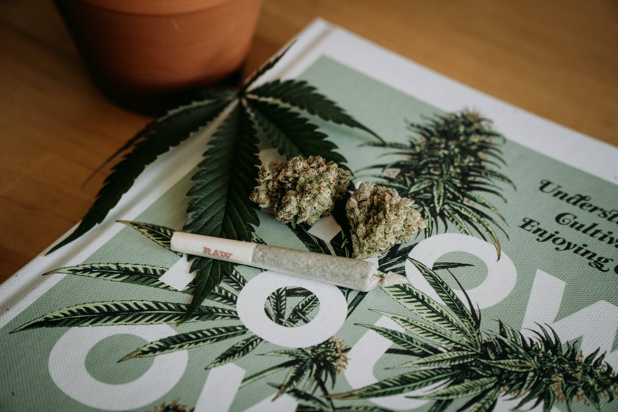 Thinking of Trying Cannabis? Read This First