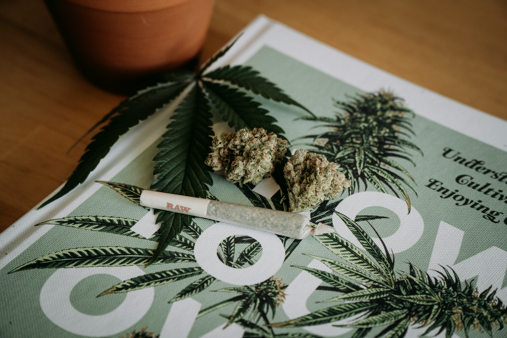 cannabis flower and joint