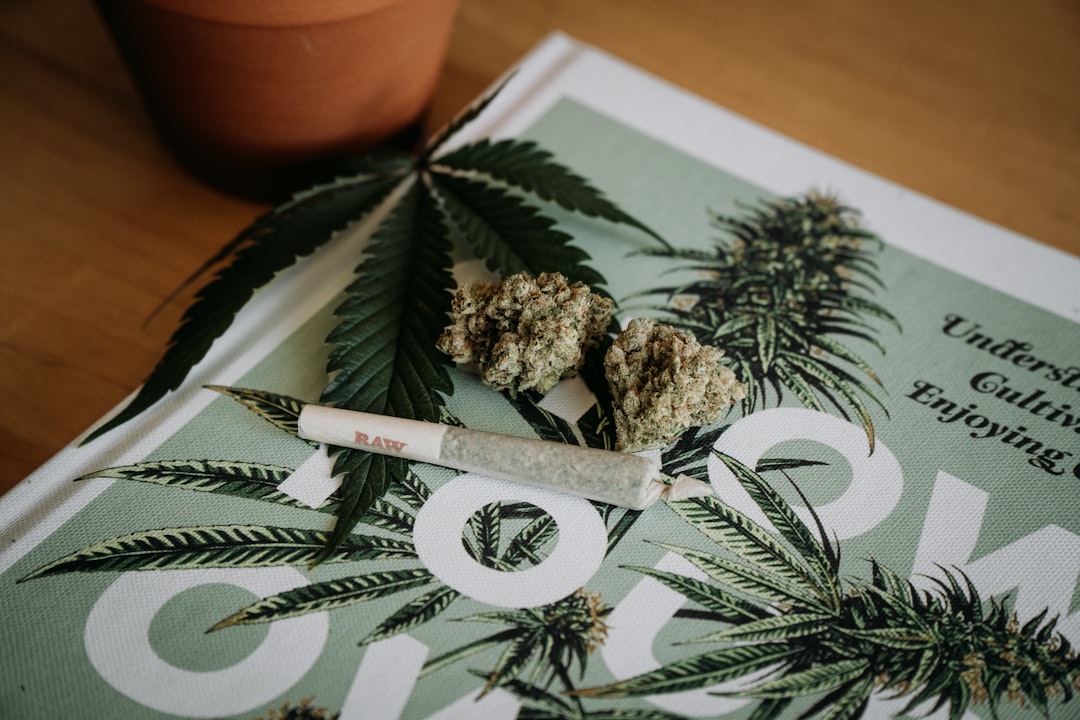 white and brown cigarette stick on white and black floral textile, Cannabis Joint</p></figure><p>Tag: Shelby Ireland or @canna.beee if you decide to use!