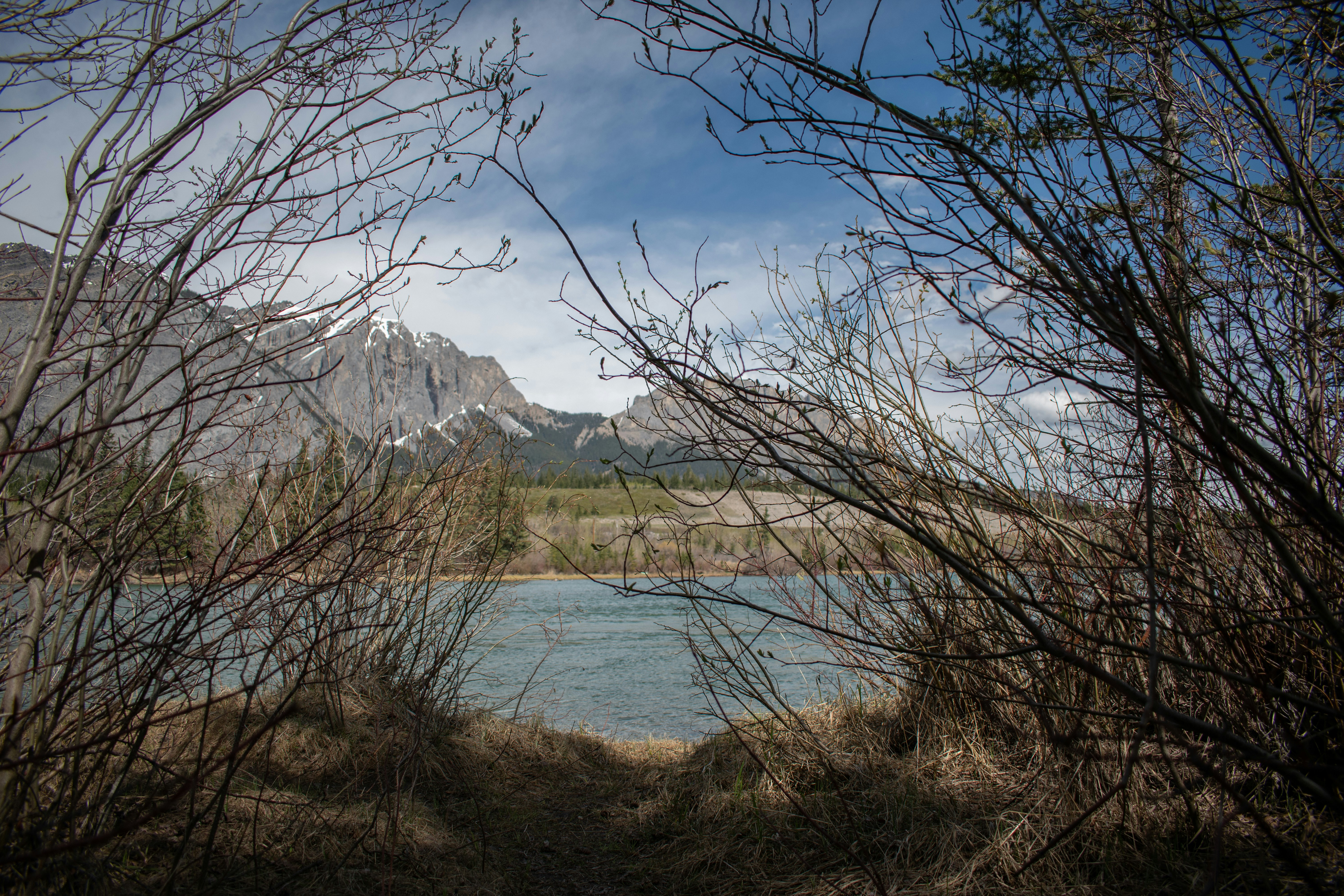 Photo by nicoletarasuk