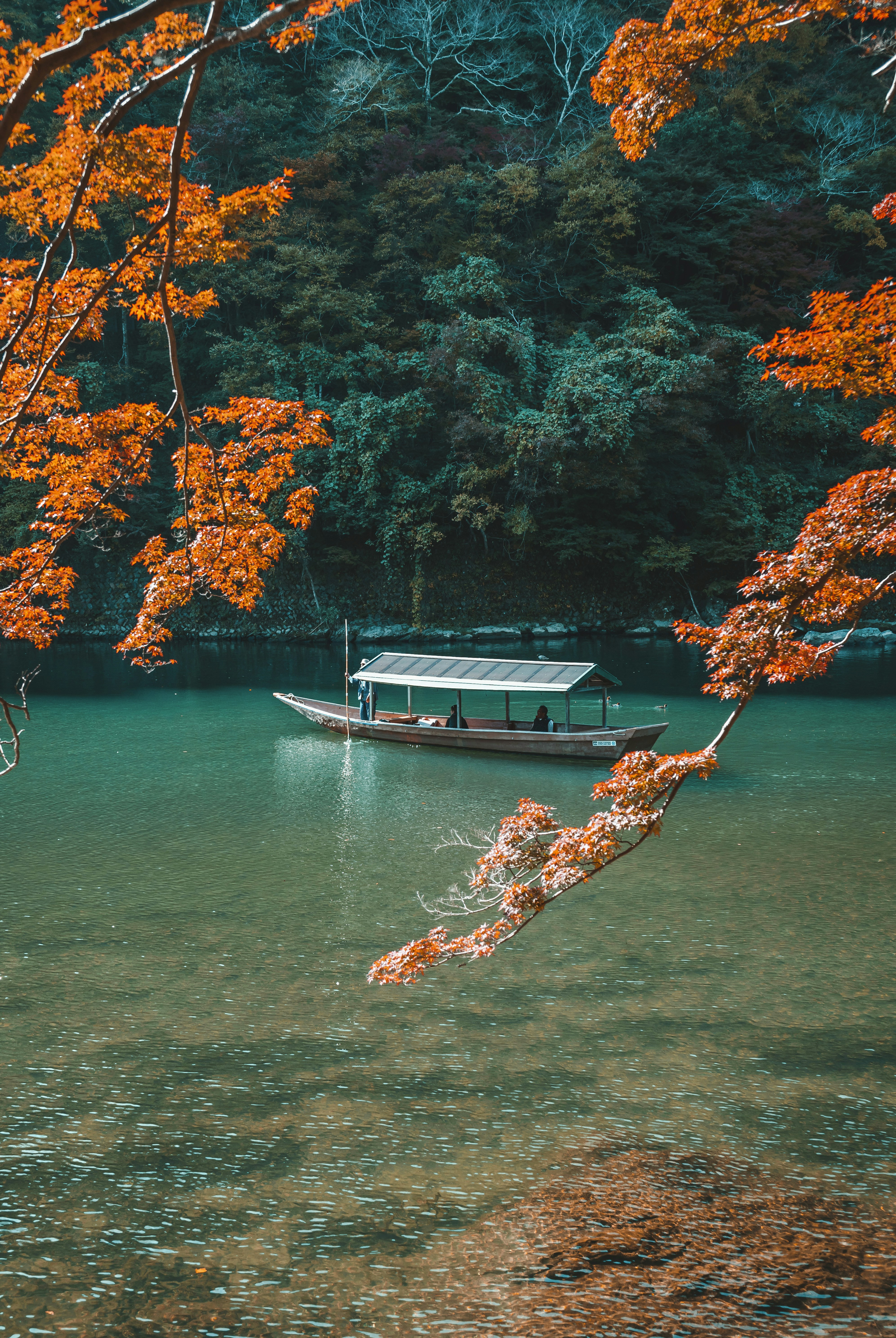 Photo by andersoncumpa02