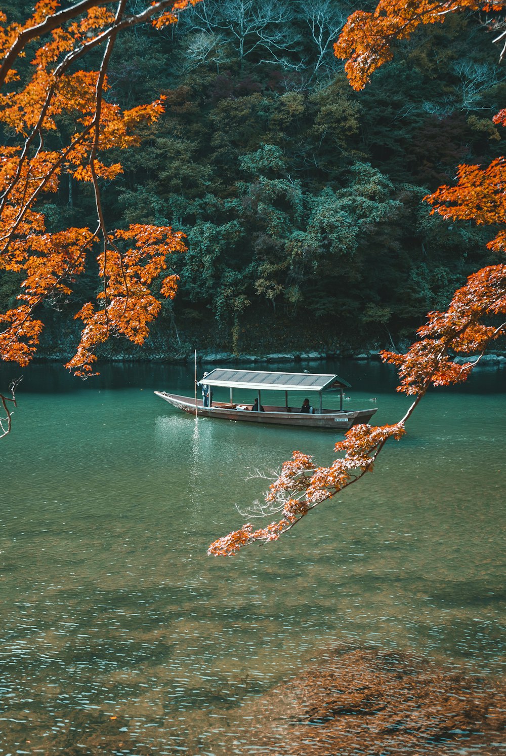 white and blue boat on body of water near trees during daytime