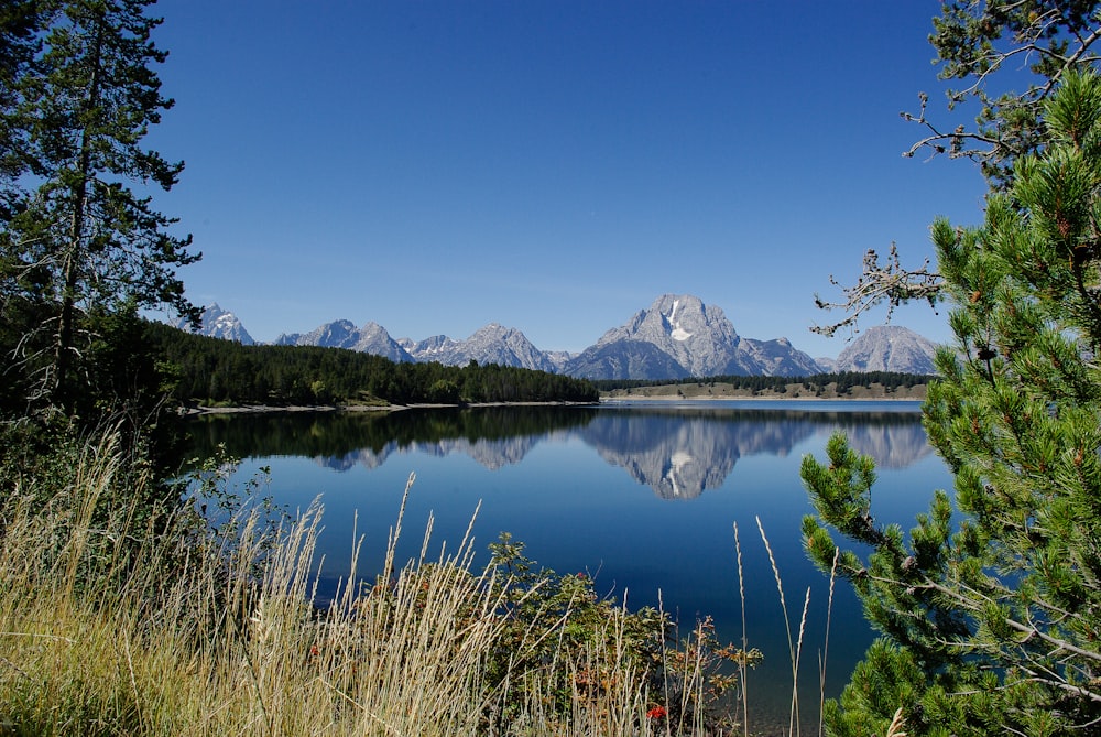 green grass near lake and snow covered mountain during daytime