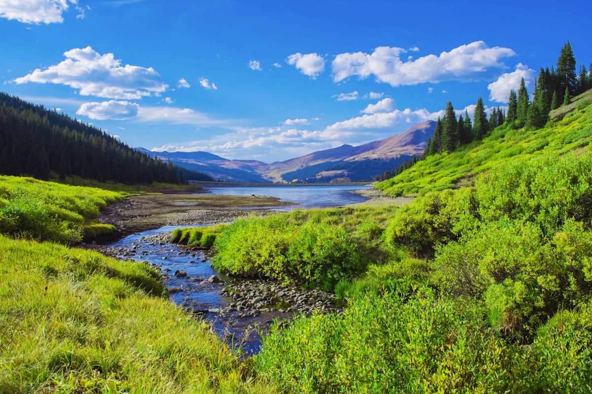 A creek winding through green willows into a lake near Breckenridge, with mountains on the far side