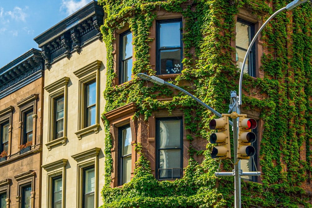 a building covered in ivy next to a traffic light