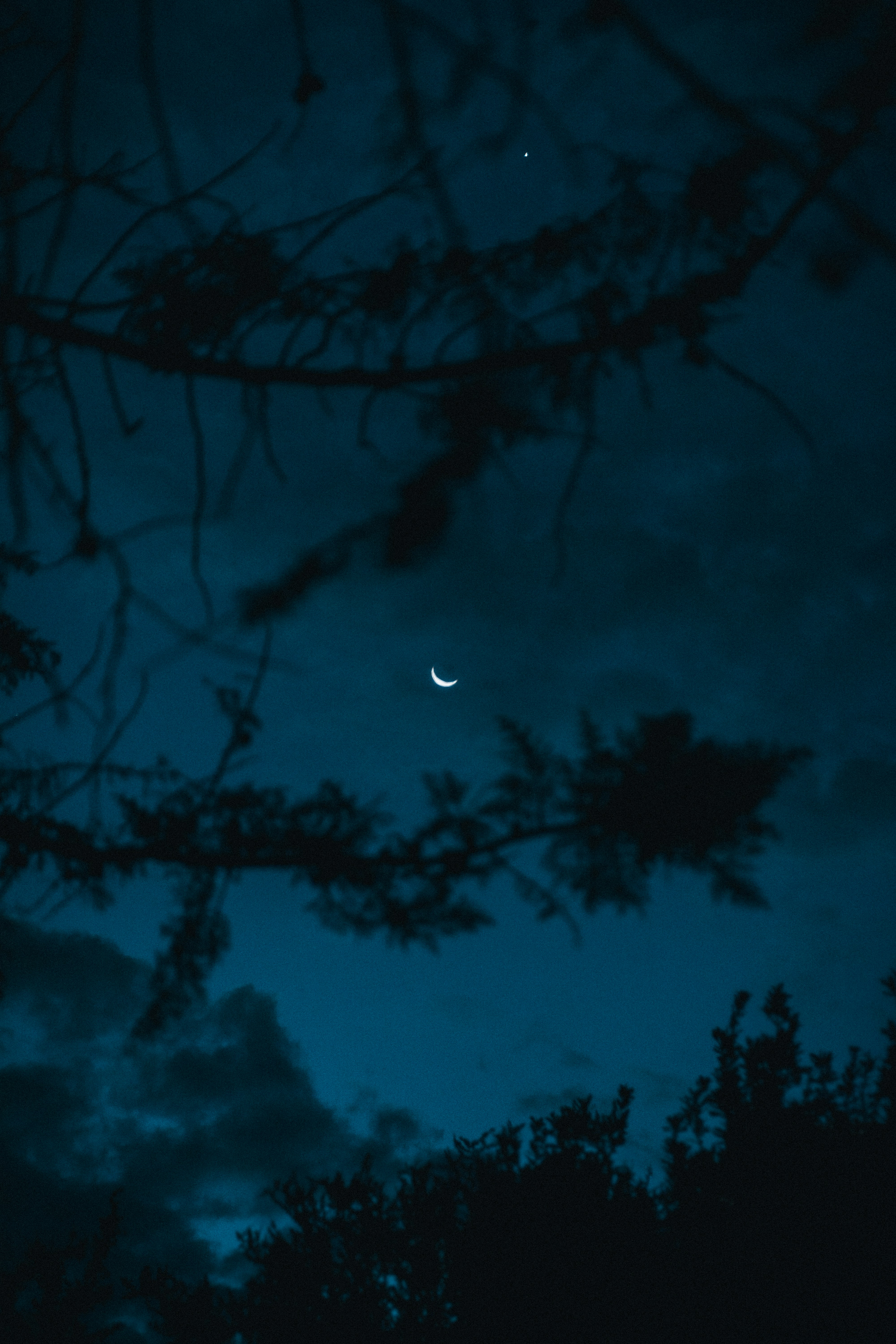 Photo by josemariacarrizo