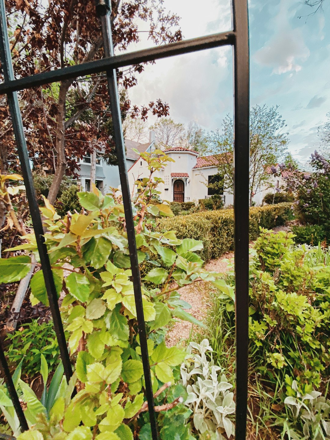 green plants near white and brown house during daytime