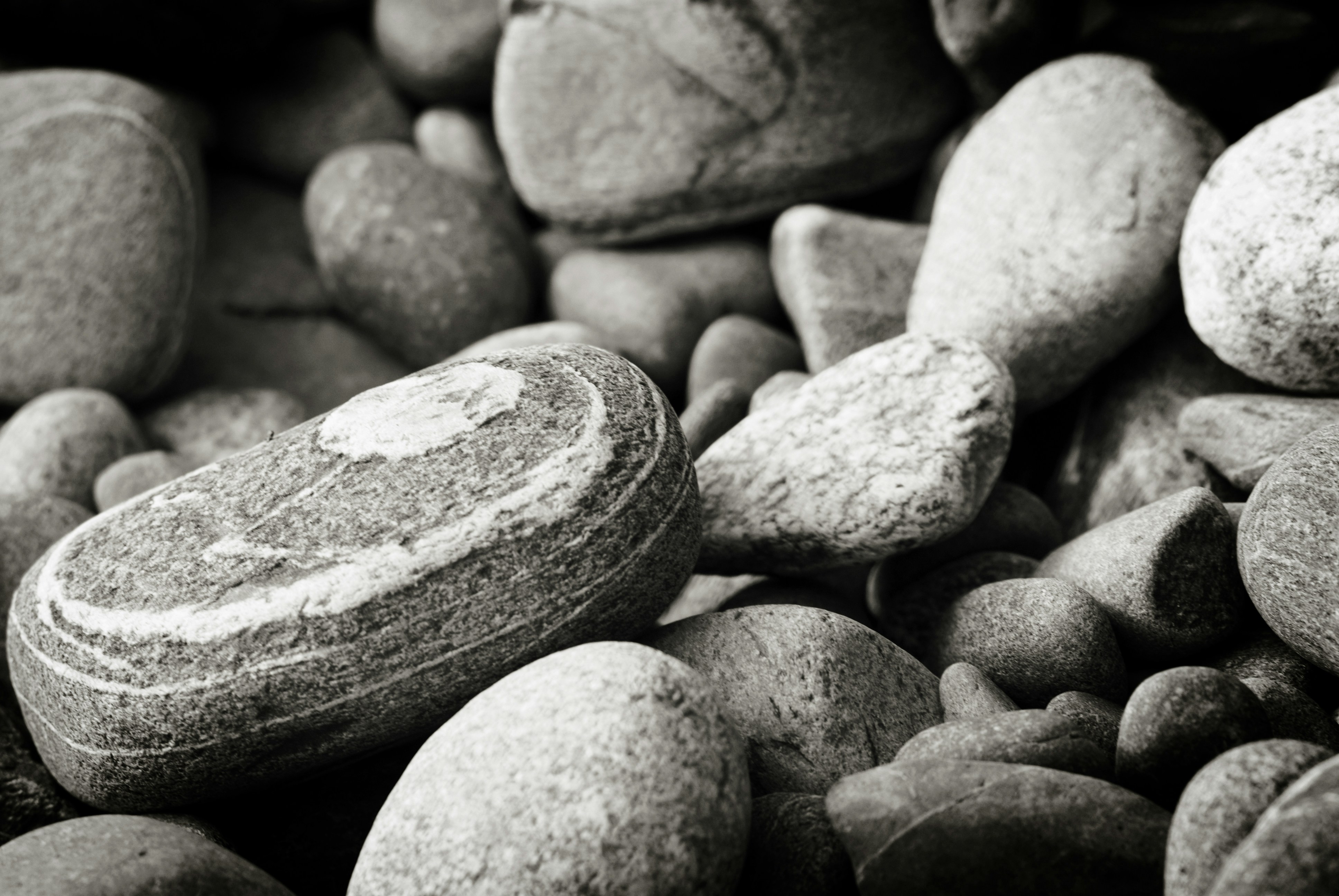 Photo by victoriabcphotographer