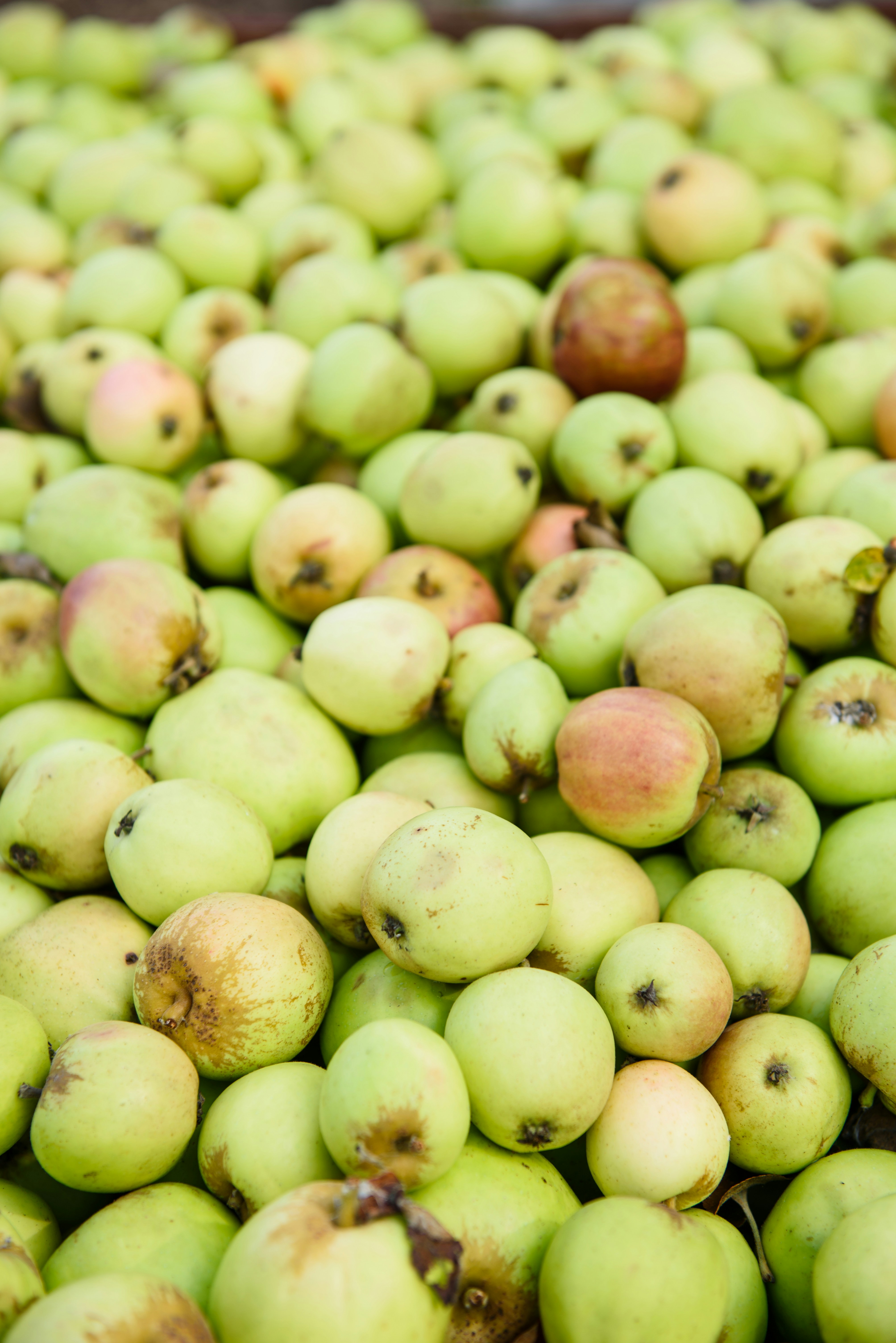 Photo by victoriabcphotographer