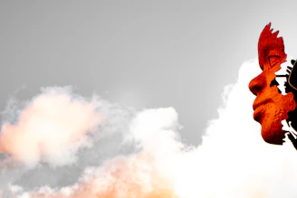 An abstract image of a nose silhouette sniffing out hidden details, illustrating the audit process.