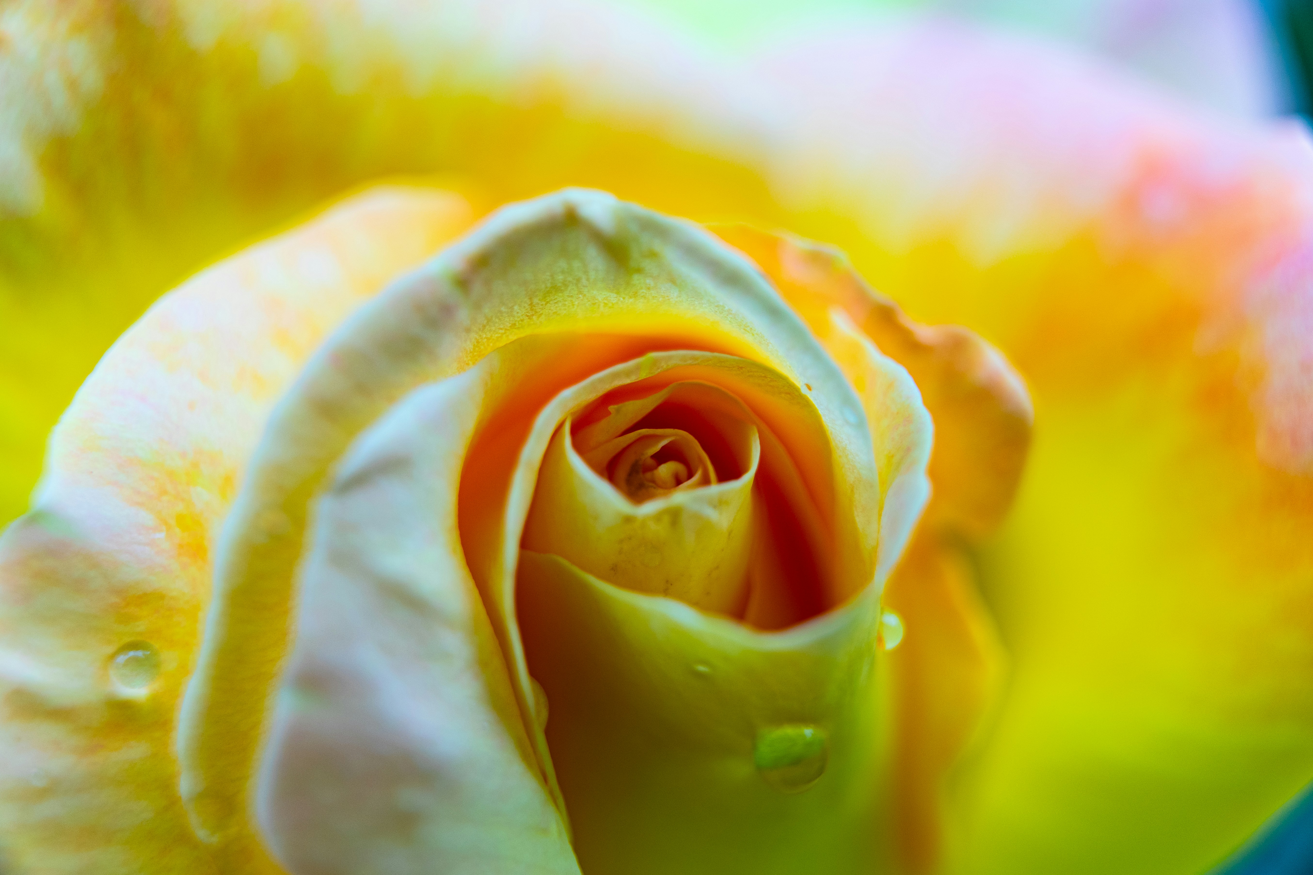Photo by justinwillis