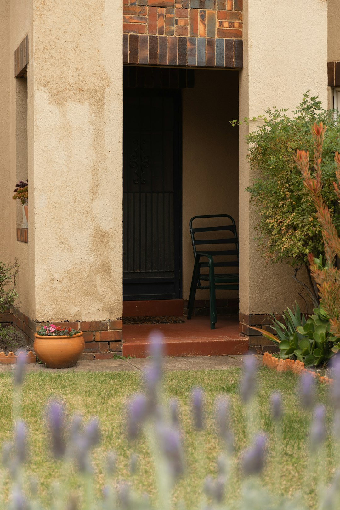 black wooden door near brown potted green plant