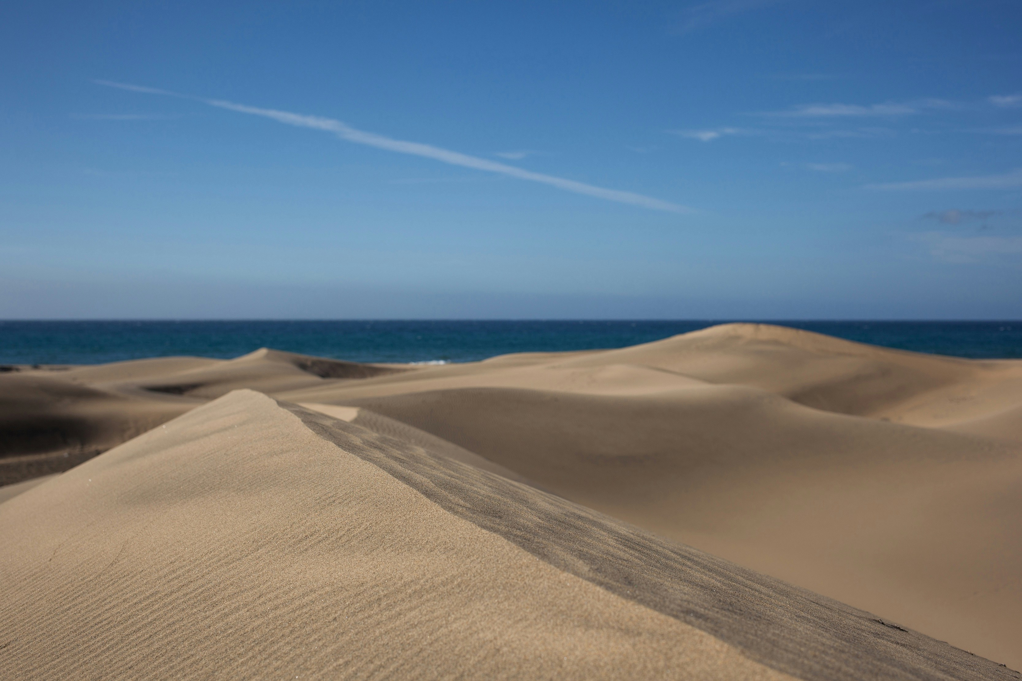 Photo by visitmaspalomas