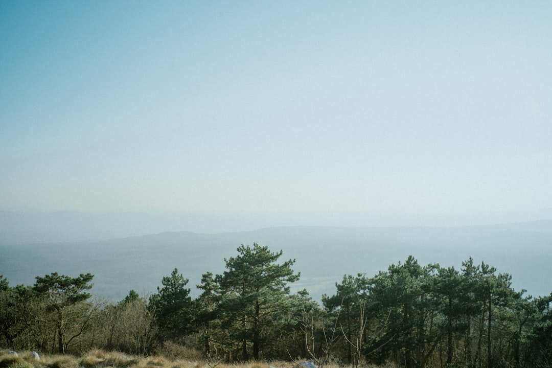 Plain photo spot Trstelj Slovenia