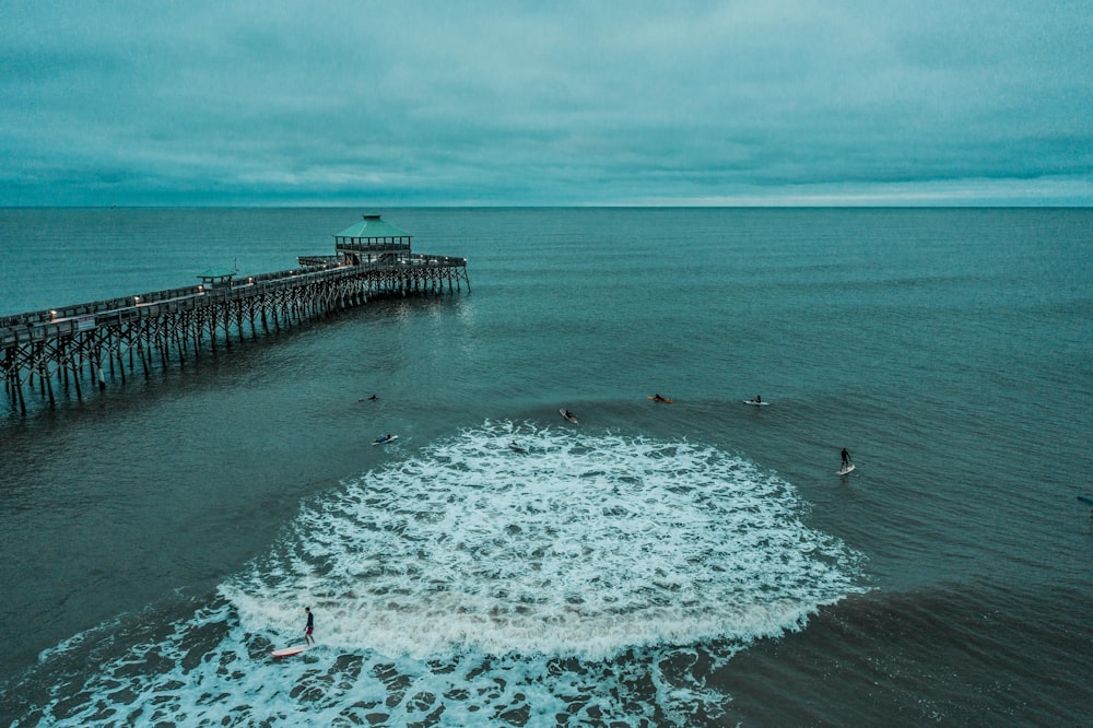 people on beach during daytime