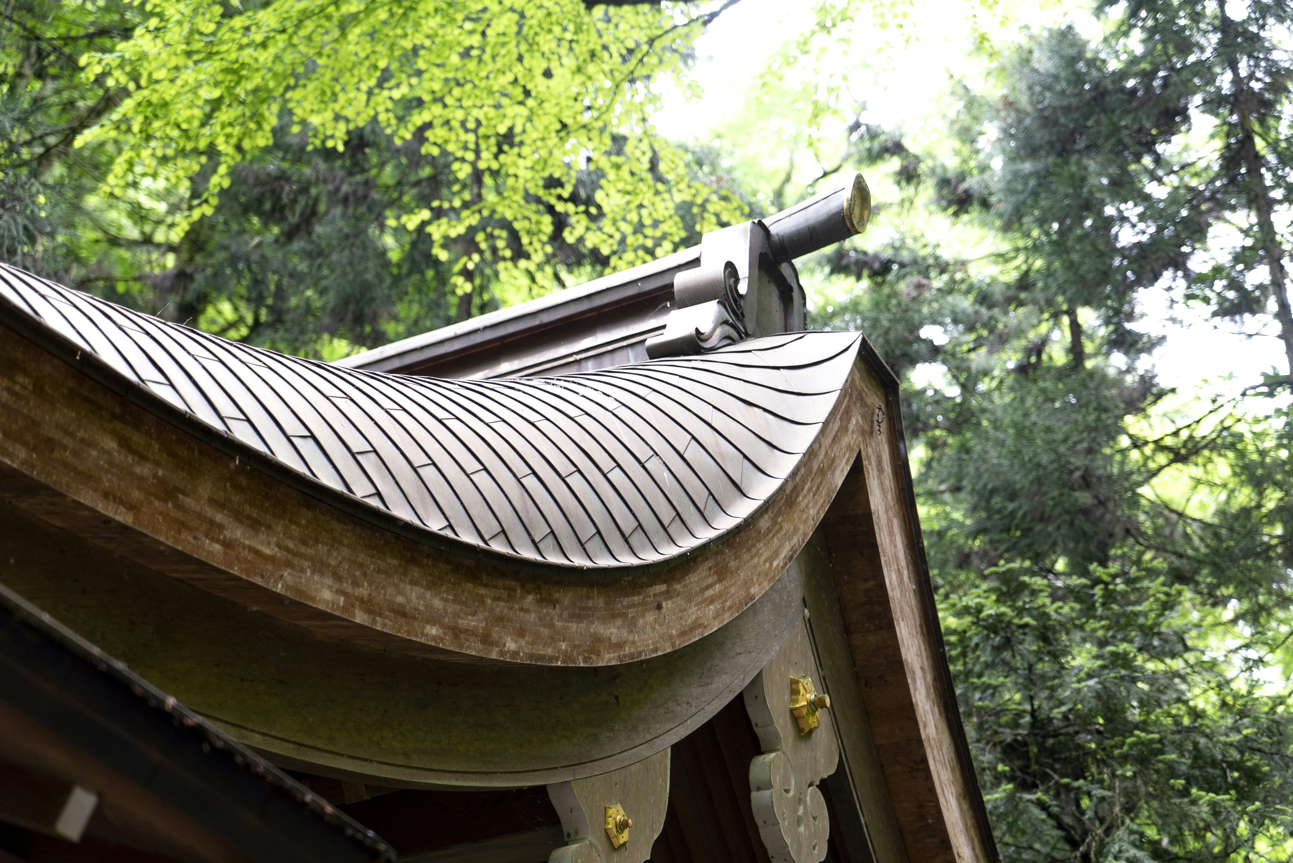 Photo by davidemrich