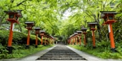 An inviting pathway lined with lanterns leading guests towards the ceremony area.