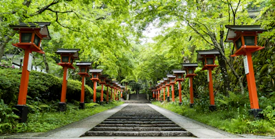 The resort’s elegant entrance pathway lined with native flowers and stone lanterns.