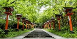 An inviting pathway lined with lanterns leading guests towards the ceremony area.