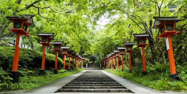 Serene garden pathway lined with lanterns leading to the homestay entrance.