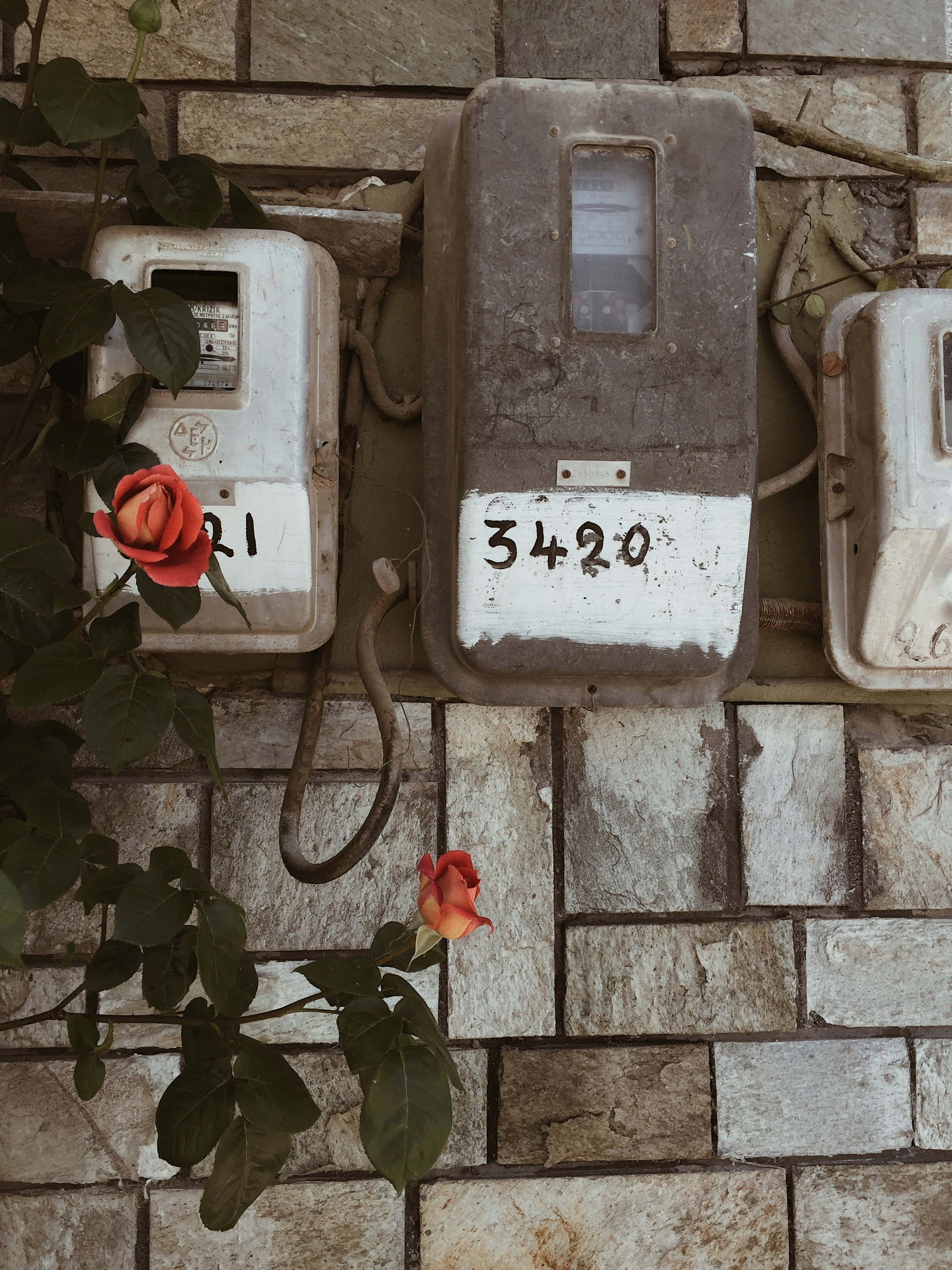rahiq ali (@rahi_0q) | Unsplash Photo Community