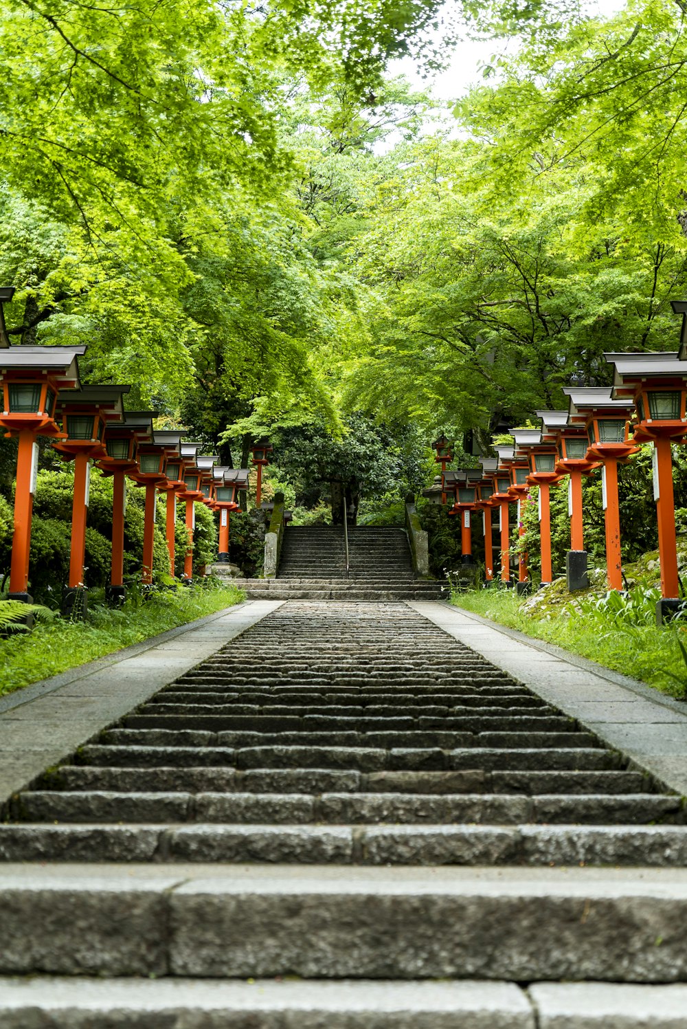 brown wooden pathway between green trees