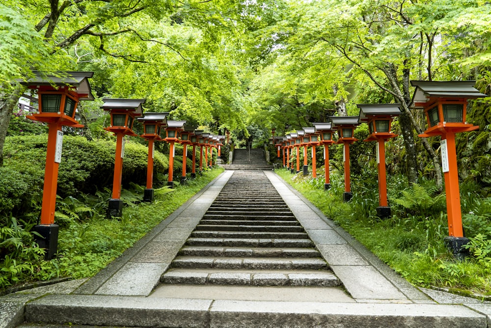 Escaleras de hormigón gris entre la hierba verde y los árboles durante el día