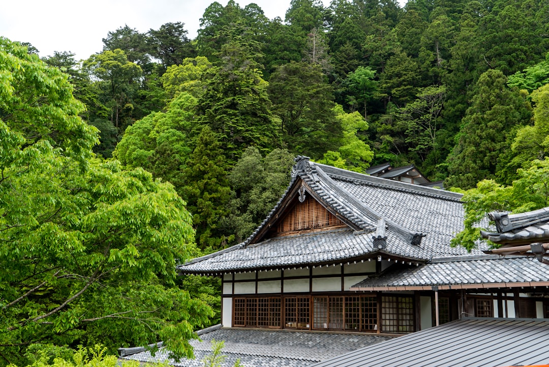 white and brown wooden house surrounded by green trees during daytime