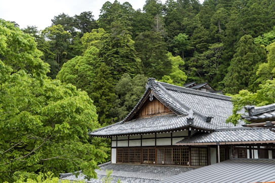 A traditional Japanese building with a gray tiled roof nestled among lush green trees. The architecture features intricate wooden details, typical of classic Japanese design, with large windows allowing for natural light. The surrounding forest is dense and vibrant, contributing to a serene, natural atmosphere.